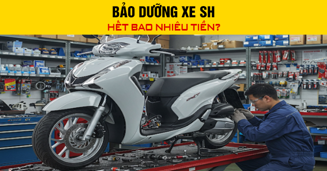 Bảo dưỡng xe SH hết bao nhiêu tiền?